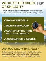 Load image into Gallery viewer, Shilajit Original Himalayan for Men 30g Premium Shilajit High Dose from