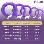 Load image into Gallery viewer, Dog Ring Fetch Toy Large Dogs Standard Size 2 Rings