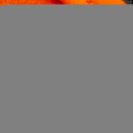 Load image into Gallery viewer, Waterproof Softshell Dog Vest Hi-Vis 36.75 in Chest x 23 in Neck Orange