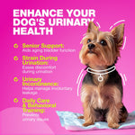 Load image into Gallery viewer, Dog UTI Treatment Cranberry Supplement for Urinary Tract Bladder Kidney Health