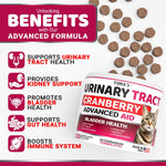 Load image into Gallery viewer, Cat Urinary Tract Infection Treatment Multivitamin Supplement