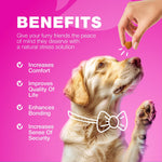 Load image into Gallery viewer, Dog UTI Treatment Cranberry Supplement Bladder & Kidney Health