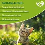 Load image into Gallery viewer, Natural Flea & Tick Collar for Cats 6 Months Control of Best Prevention & Safe Treatment Anti Fleas and Ticks Essential Oil Repellent (1 Pack)