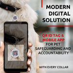 Load image into Gallery viewer, Black Rolled Leather Dog Collar Padded All Sizes 13–16 in Neck