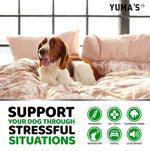 Load image into Gallery viewer, Hemp Calming Chews for Dogs 170 Count Anxiety Relief Beef Flavor