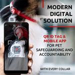 Load image into Gallery viewer, Rolled Leather Dog Collar Padded 18–21 in Neck Red