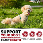 Load image into Gallery viewer, Dog UTI Treatment 170 Count Cranberry Supplement Bladder Control