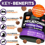 Load image into Gallery viewer, Melatonin Calming Chews for Dogs 170 Chews