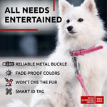 Load image into Gallery viewer, Ultra Soft Rolled Leather Dog Collar 10-13 inch Neck for Small Dogs Soft Padded Dog Collars for Medium Dogs Puppy Collars for Large Breed Dogs Male and Female Dog Collar