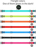Load image into Gallery viewer, Waterproof Dog Collar 14-22 inch Neck x 0.5 inch Wide Plastic Buckle Glowing Heavy Duty Adjustable Durable Dog Collars for Small Medium Large Dogs Red Blue Pink Mint Green Dog Collar Safety Plus (14 1 2 22 Neck Glowing)