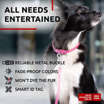 Load image into Gallery viewer, Ultra Soft Rolled Leather Dog Collar 13-16 inch Neck Soft Padded Dog Collars for Medium Dogs Puppy Collars for Large Breed Dogs Male and Female Dog Collar