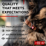 Load image into Gallery viewer, Leather Dog Collar Small & Medium Dogs 12–15 in Neck Brown