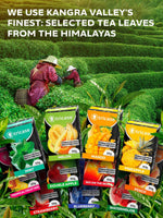 Load image into Gallery viewer, Hookah Flavors Fruit 3.5 ounce 100 Gram Fruit Flavor Herbal Hookah Tobacco