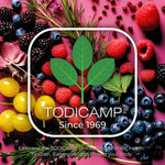 Load image into Gallery viewer, Women's Multivitamin & Mineral Complex with Plant Based Extracts Hair Skin and Nails Vitamins Foundational Multivitamin for Women 30 Day Supply