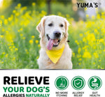Load image into Gallery viewer, YUMA'S 2 Pack Dog Allergy Relief Chews Dog Itching Skin Relief Treatment Pills Anti Itch for Dogs Itchy and Paw Licking Dry Skin & Hot Spots Omega 3 Fish Oil Skin & Coat Supplement