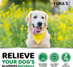 Load image into Gallery viewer, Dog Allergy Relief Chews 2-Pack Itchy Skin Relief Omega-3 Fish Oil Skin & Coat