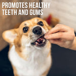 Load image into Gallery viewer, Chicken Jerky Dog Treats 24 oz Human-Grade Grain-Free Sweet Potato