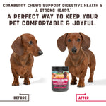 Load image into Gallery viewer, Cranberry Chews for Dogs 180 Count Urinary Tract Support