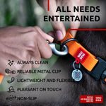 Load image into Gallery viewer, Waterproof Dog Leash 4 Ft x 1 inch Orange Anti Slip Dog Leash for Large Dogs