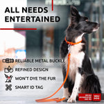 Load image into Gallery viewer, Rolled Leather Dog Collar Padded Large Dogs 15–19 in Neck Orange