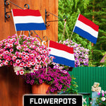 Load image into Gallery viewer, 30 Pack Handheld Netherlands Dutch Stick Flags 12x18 In Printed 150D Polyester