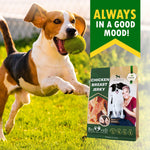 Load image into Gallery viewer, Chicken Jerky Dog Treats Organic 300 g