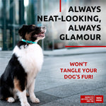 Load image into Gallery viewer, WAUDOG Ultra Soft Rolled Leather Dog Collar for Small Dogs Soft Padded Dog Collars for Medium Dogs Puppy Collars for Large Breed Dogs Male and Female Dog Collar