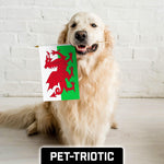 Load image into Gallery viewer, G128 12 Pack Handheld Wales Welsh Stick Flags 12x18 In Printed 150D Polyester, Country Flag, Solid Wooden Stick, Spear Gold Tip