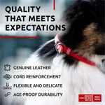 Load image into Gallery viewer, Rolled Leather Dog Collar Padded 18–21 in Neck Red