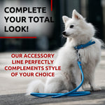 Load image into Gallery viewer, Rolled Leather Dog Leash 4 ft x 0.3 in All Sizes Blue