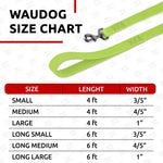 Load image into Gallery viewer, WAUDOG Waterproof Dog Leash 4 Ft 6 Ft Anti Slip Dog Leash for Large Dogs Small and Medium Dogs Heavy Duty Dog Leash with Water and Dirt Resistant Long Or Short Dog Leashes for Boy & Girl Dogs