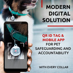 Load image into Gallery viewer, Rolled Leather Dog Collar Padded 21-24 in Neck Mint Color