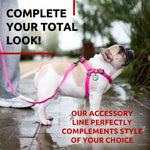 Load image into Gallery viewer, WAUDOG Waterproof Dog Leash 4 Ft 6 Ft Anti Slip Dog Leash for Large Dogs Small and Medium Dogs Heavy Duty Dog Leash with Water and Dirt Resistant Long Or Short Dog Leashes for Boy & Girl Dogs
