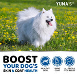 Load image into Gallery viewer, Omega-3 Fish Oil for Dogs 170 Chews Skin & Coat Supplement