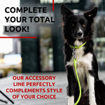 Load image into Gallery viewer, WAUDOG Rolled Leather Dog Leash 4Ft * 0.4 in for Small Medium and Large Dogs Heavy Duty Leather Puppy Leash for Outdoor Walking Running Training Strong Dog Leashes for Large Breed Dogs (Green)