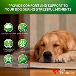 Load image into Gallery viewer, Hemp Calming Chews for Dogs 120 Count Anxiety & Stress Relief