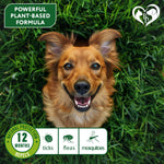 Load image into Gallery viewer, Flea & Tick Collar for Dogs 6-Month Protection Essential Oil 2 Count