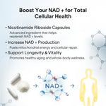 Load image into Gallery viewer, NAD Capsules Resveratrol Liposomal Nicotinamide Riboside Quercetin Vitamin B3 NAD Supplement for Women and Men Anti Aging Boost Focus and Energy Cell Regeneration Supplement 120 Capsules