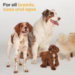 Load image into Gallery viewer, Flea and Tick Prevention for Dogs Dog Flea Treatment Chews Immune Support Flea and Tick Chewables for Dogs Dog Flea & Tick Control Supplement All Breeds & Ages Vet Formulated Soft Treats