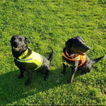 Load image into Gallery viewer, Reflective Lightweight Dog Vest Hi-Vis M Size Mid-Back Coverage