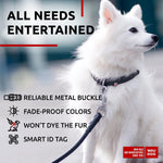 Load image into Gallery viewer, Black Rolled Leather Dog Collar Padded All Sizes 10–13 in Neck