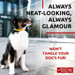 Load image into Gallery viewer, Yellow Ultra Soft Rolled Leather Dog Collar for Dogs Soft Padded 1821 inch Neck