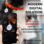 Load image into Gallery viewer, Rolled Leather Dog Collar Padded Large Dogs 15–19 in Neck Orange