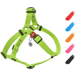 Load image into Gallery viewer, Waterproof Dog Harness Adjustable 24–35 in Metal Clasp & QR Tag Green