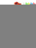 Load image into Gallery viewer, Rasta Hookah Set 2 Hose Hookah – LilOne 12” Colorful Hookah 2 Hose Hookah Set