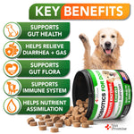 Load image into Gallery viewer, Probiotics for Dogs 120 Chews Digestive Enzymes Itchy Skin Support