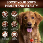 Load image into Gallery viewer, Mushroom Chews for Dogs 340 Count 2-Pack Turkey Tail Lion's Mane & Reishi