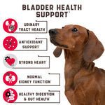 Load image into Gallery viewer, Cranberry Chews for Dogs 180 Count Urinary Tract Support