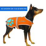 Load image into Gallery viewer, Reflective Dog Vest Hi-Vis 18.5 in Chest x 15 in Neck