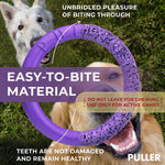 Load image into Gallery viewer, Dog Ring Fetch Toy Large Dogs Standard Size 2 Rings